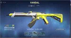 CONTA VALORANT COM SKIN E TODOS AGENTEs