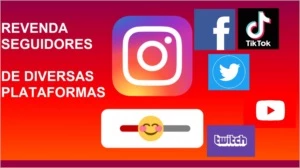 REVENDA SEGUIDORES DE DIVERSAS PLATAFORMAS (PROMOÇÃO) - Redes Sociais