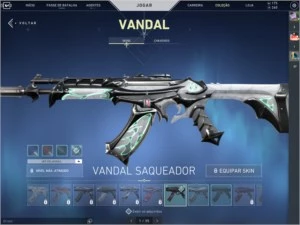 Conta Valorant