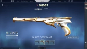 CONTA VALORANT VANDAL RGX, VANDAL SAQUEADORA, BUTTERFLY RGX