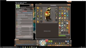 Sran 200 spiritia - Dofus