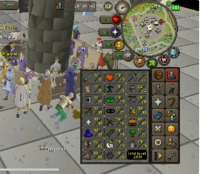 Conta Main OSRS Maxed com 6 pets - Runescape