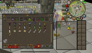Conta Main OSRS Maxed com 6 pets - Runescape