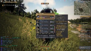 Venda de Conta Black Desert Online – Mid/End Game