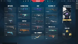 Conta Valorant -Skins E Facas