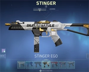 VENDO CONTA VALORANT DRAGAO, NERF, ONI, GLITCHPOP, ION