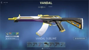 Vendo conta no valorant, com várias skins.