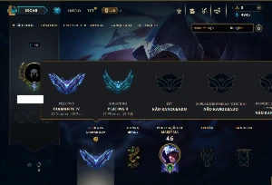 Platina 2 com 41 Champs e 3 Skins