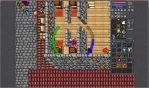 RP Lutabra 336 - Tibia