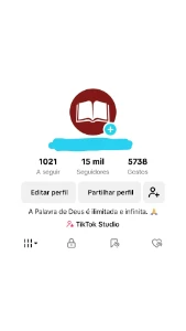 Conta Tik Tok Monetizada Com 15 Mil Seguidores