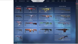 Conta Full acess com varias skins - Valorant