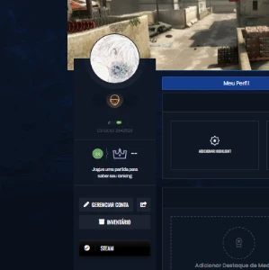 Conta Prime Gc Level 13 - Counter Strike CS