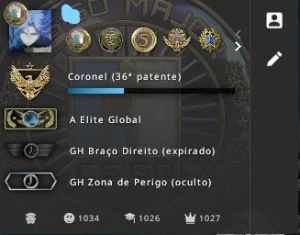 Conta Steam 6 anos - Nível 310 - Diversos jogos - Counter Strike CS