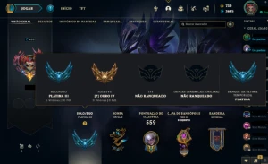 Conta com todos campeões, 143 habilitadas + 113 fragmentos - League of Legends LOL