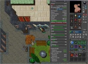 Elder Druid 420 - Tibia