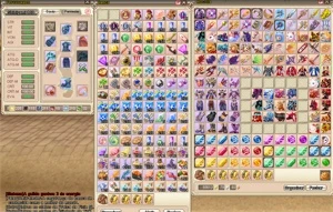 Grand Fantasia Necromante nv100 TOP GF