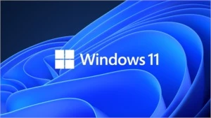 Windows 11 pro Sem o TPM2
