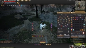 CONTA BDO 626 285/341 GS POTE HP/MP - Black Desert