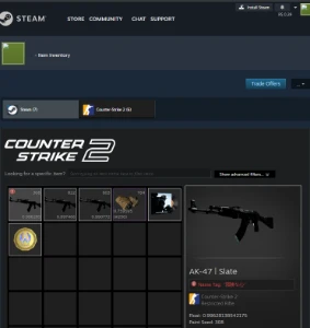 Cs2 Prime Lvl 12 Gc +9962 Horas Primeiro Email Acesso Total - Counter Strike