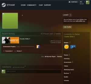 Cs2 Prime Lvl 12 Gc +9962 Horas Primeiro Email Acesso Total - Counter Strike