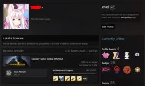 Conta Steam com CS GO Level 19 GC Supremo - Counter Strike