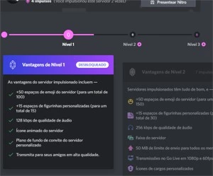 Servidor discord 400 membros + nível 1 boost