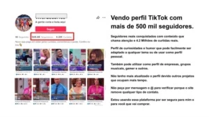 Perfil TikTok + de 500 Mil seguidores - Preço Baixo - Redes Sociais