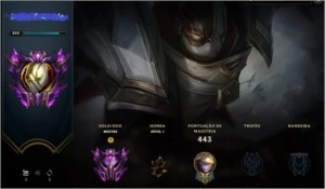 Conta Mestre Full Champs e +
