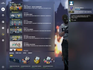 Cs Go Prime Aguia2 Lvl 12 Gc 7200Hrs De Csgo - Counter Strike