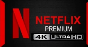 netflix 4k ultra hd 30 dias 8,90 conta com suporte garantia - Assinaturas e Premium