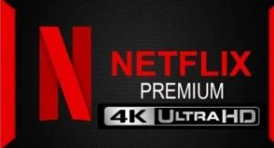 netflix 4k ultra hd 30 dias 8,90 conta com suporte garantia - Premium