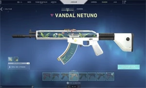 conta valorant com skins e nivel competitivo mediano
