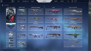 Conta de Valorant D2 +1k gasto em skins