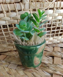 Vaso de Cerâmica para Mini Suculenta - Cores - Artesanato e Personalizados