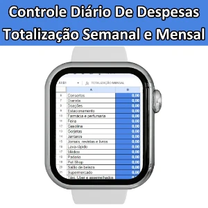 Planilha Controle Diário De Despesas (Semanal E Mensal) - Others