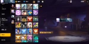 Conta Free Fire Des De 2018