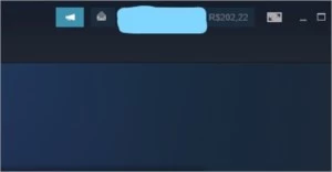 200,00 NA STEAM