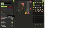 DOFUS TOUCH (BRUTAS) - CONTA NÃO CERTIFICADA.