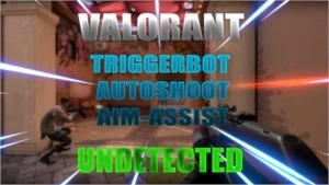VALORANT - TRIGGERBOT - AUTOSHOOT - LIFETIME