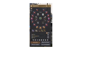 Conta Black Desert SA ENDGAME 880 GS