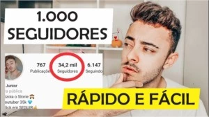 SEGUIDORES REAIS E ATIVOS ORGÂNICOS - Others