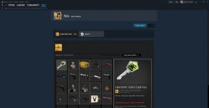 Conta de csgo com prime + skins - Counter Strike