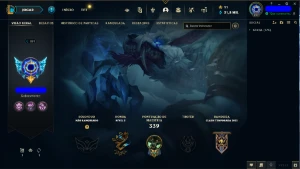 Conta Main Jg/Main Ww/Unranked/Varias Skins - League of Legends LOL