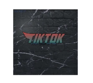 Bot para ter views e no tiktok ( 100% vitalicio) - Outros