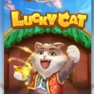 Robô Lucky Cat ( Fortune Cat Tigresa) Vip