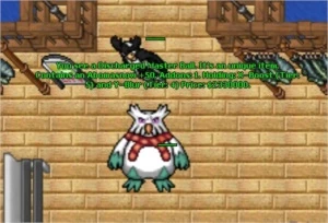 CONTA PXG - PokeXGames