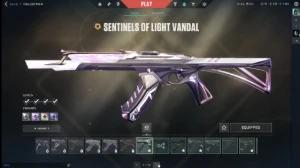 Conta Valorant Pra Sair Rápido