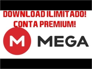 Conta Mega premium 4 meses(download ilimitado)