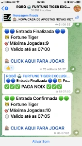 🐯Robo Trigre Fortune🐯 - Outros
