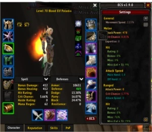 CONTA BLIZZARD PALADIN FAERLINA LVL 70